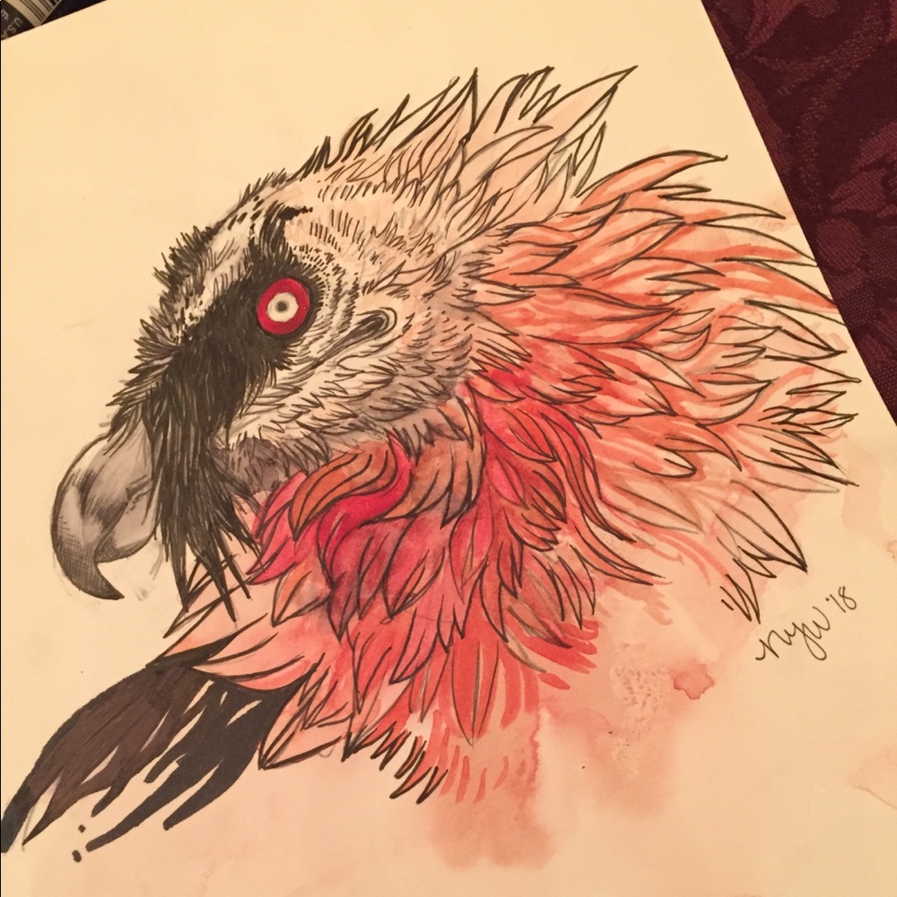 “Lammergeier” Original Artwork